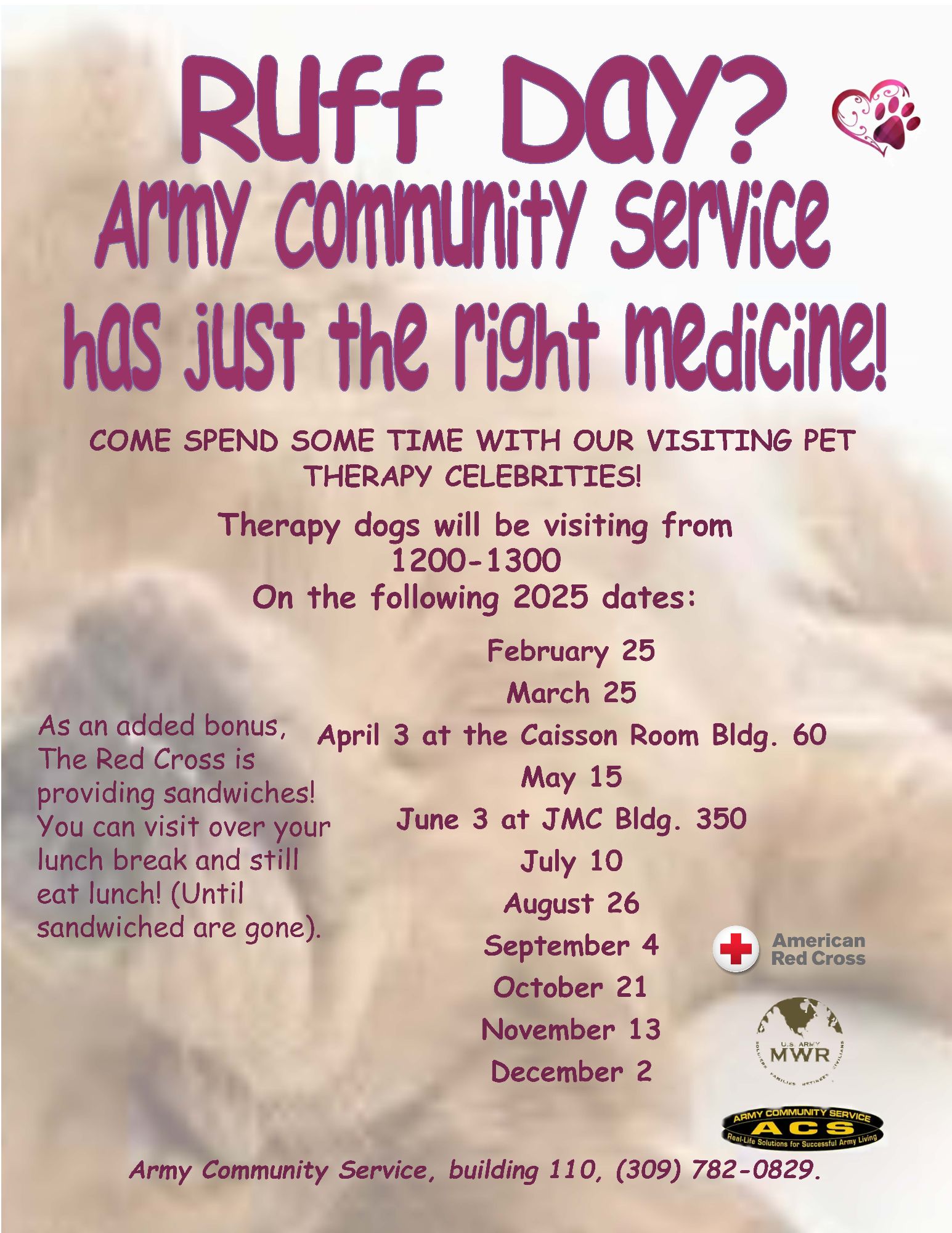 therapy dogs 2025.jpg